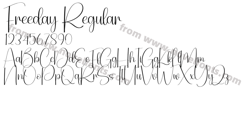Freeday RegularPreview