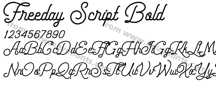 Freeday Script BoldPreview