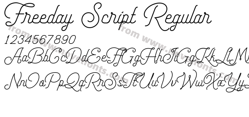 Freeday Script RegularPreview
