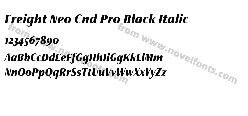 Freight Neo Cnd Pro Black ItalicPreview