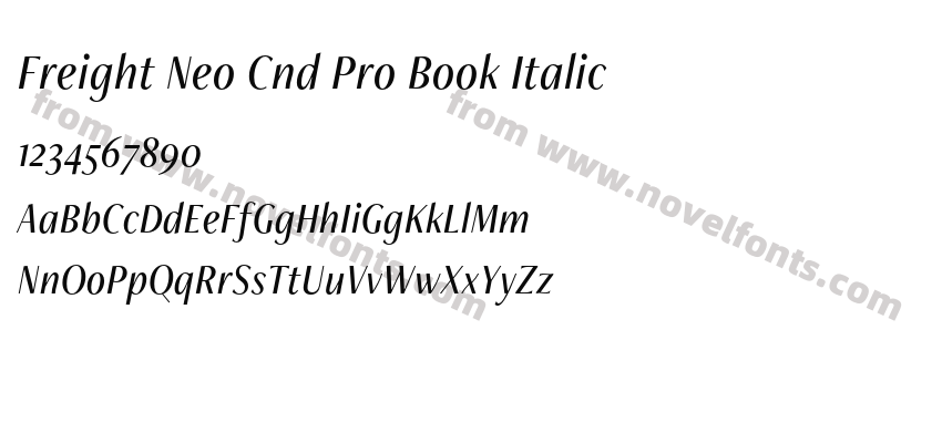 Freight Neo Cnd Pro Book ItalicPreview