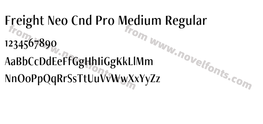 Freight Neo Cnd Pro Medium RegularPreview