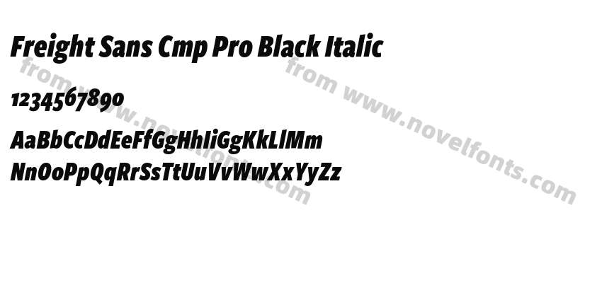 Freight Sans Cmp Pro Black ItalicPreview