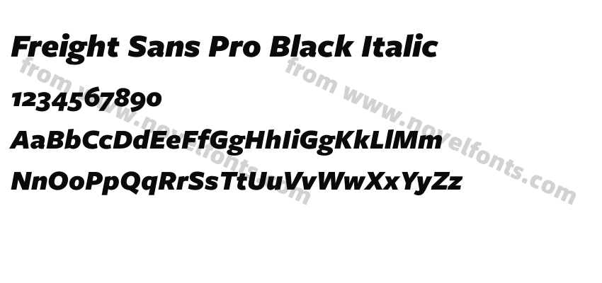 Freight Sans Pro Black ItalicPreview