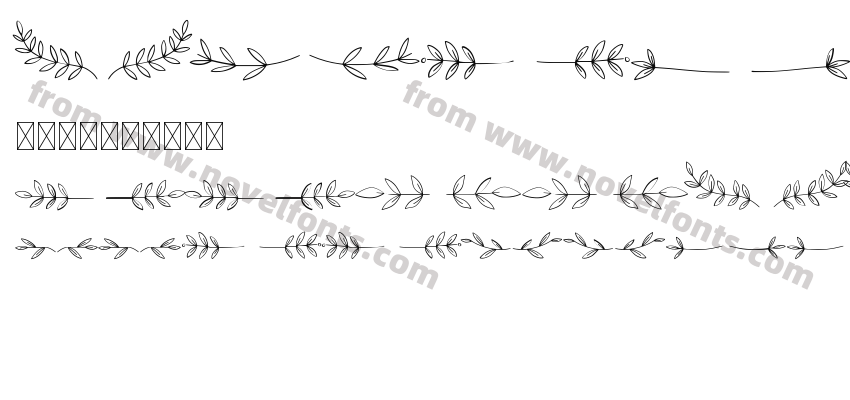 Frog Divider RegularPreview