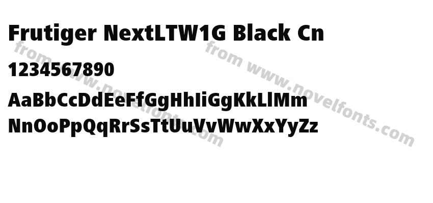 Frutiger NextLTW1G Black CnPreview
