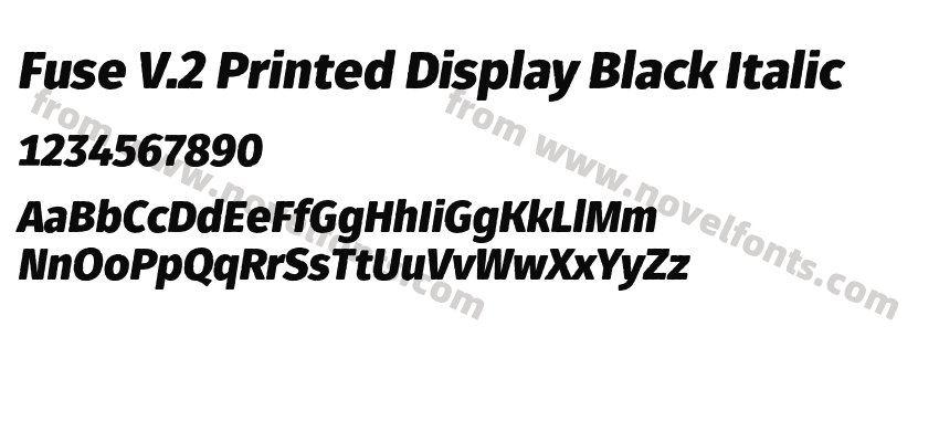 Fuse V.2 Printed Display Black ItalicPreview
