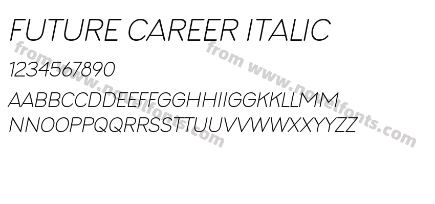 Future Career ItalicPreview