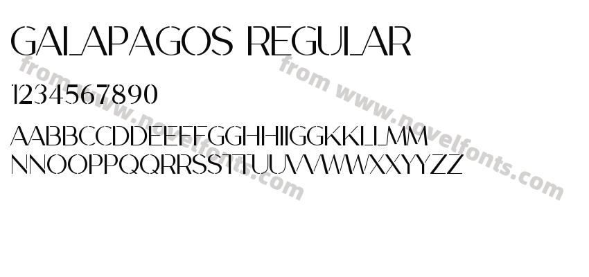 GALAPAGOS RegularPreview