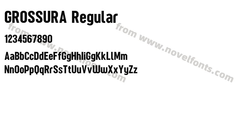 GROSSURA RegularPreview