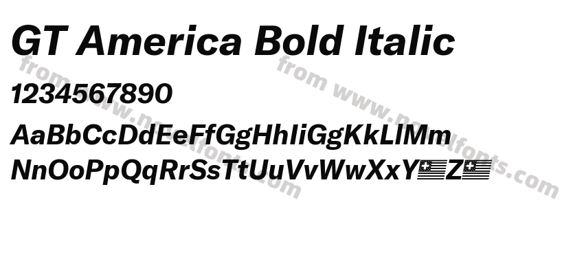 GT America Bold ItalicPreview