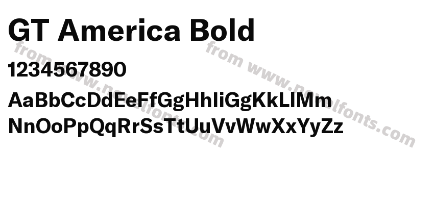 GT America BoldPreview