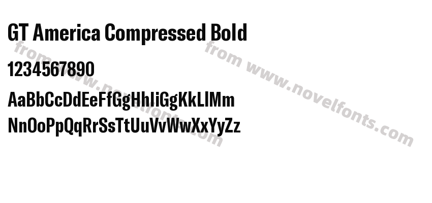 GT America Compressed BoldPreview