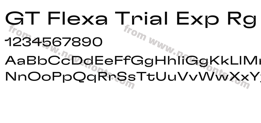 GT Flexa Trial Exp RgPreview