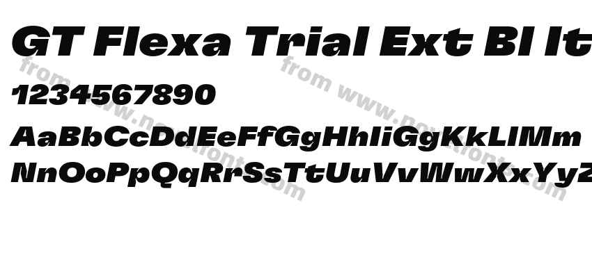 GT Flexa Trial Ext Bl ItPreview
