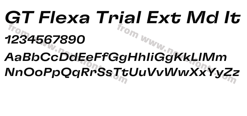 GT Flexa Trial Ext Md ItPreview
