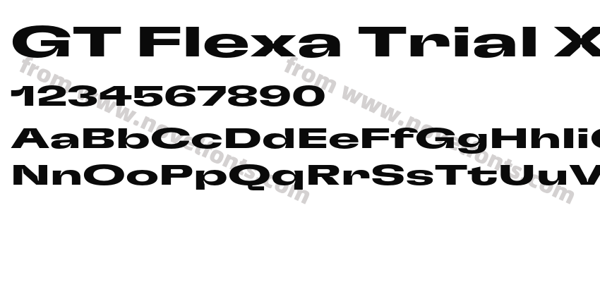 GT Flexa Trial X Exp BdPreview