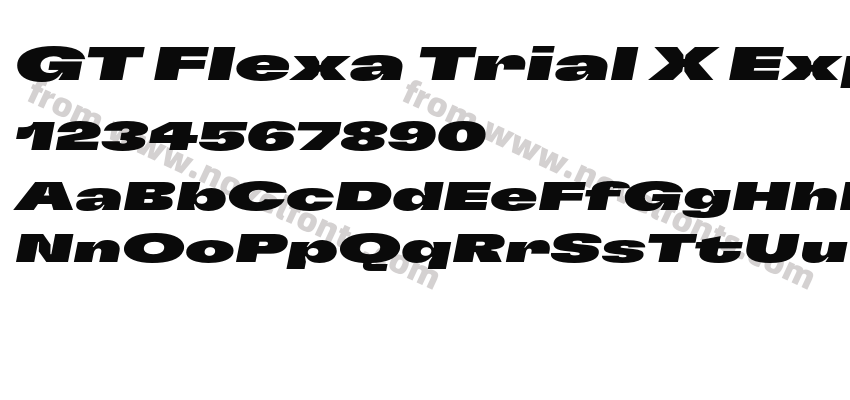GT Flexa Trial X Exp Bl ItPreview