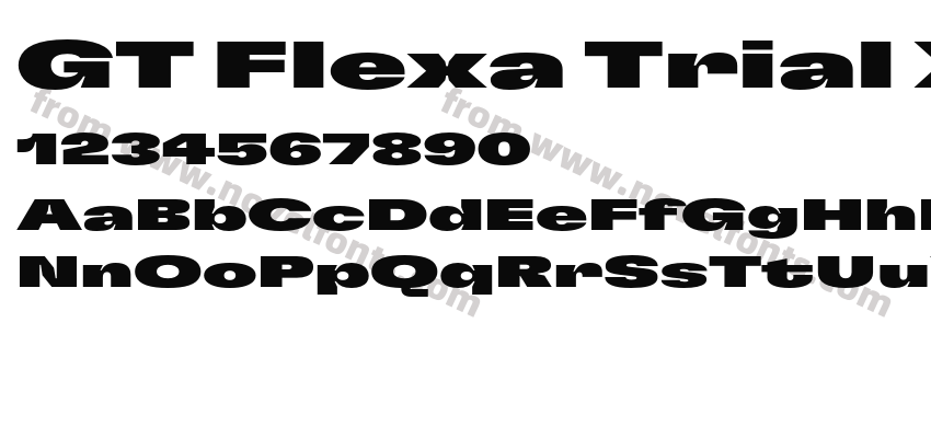GT Flexa Trial X Exp BlPreview
