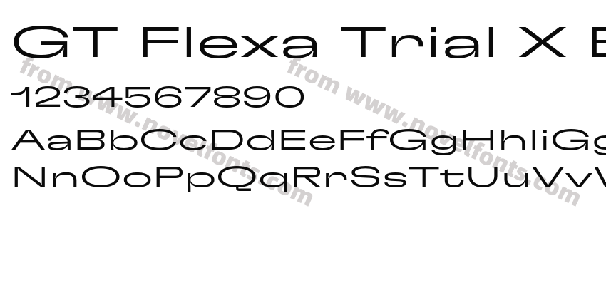 GT Flexa Trial X Exp LtPreview
