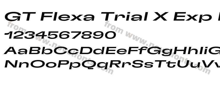 GT Flexa Trial X Exp Md ItPreview