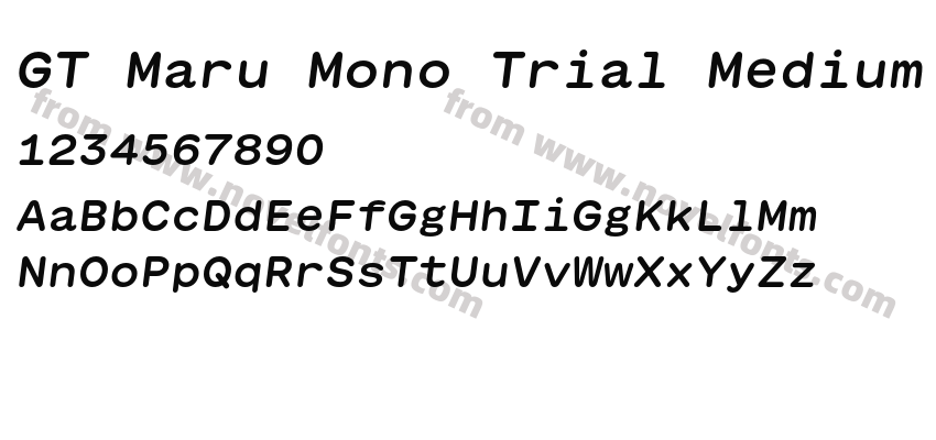 GT Maru Mono Trial Medium ObliquePreview