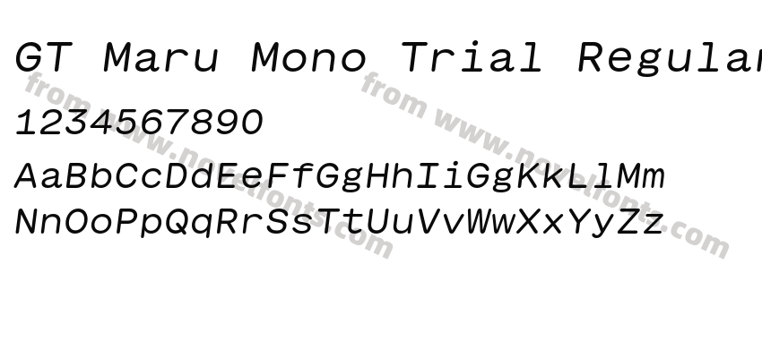 GT Maru Mono Trial Regular ObliquePreview