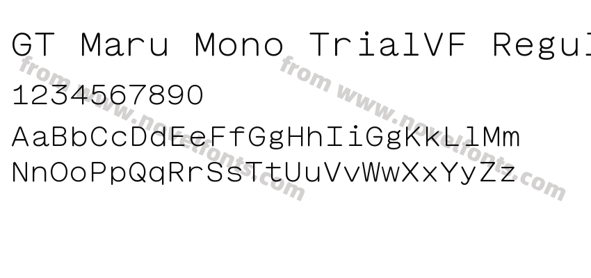 GT Maru Mono TrialVF RegularPreview