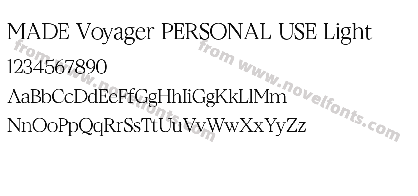 MADE Voyager PERSONAL USE LightPreview