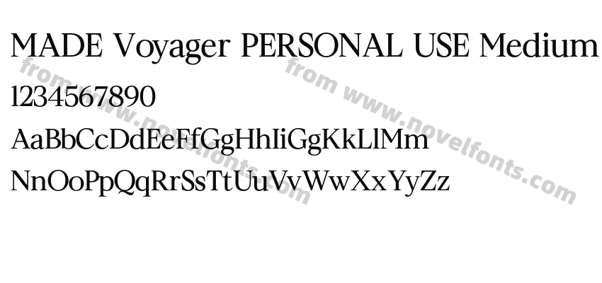 MADE Voyager PERSONAL USE MediumPreview