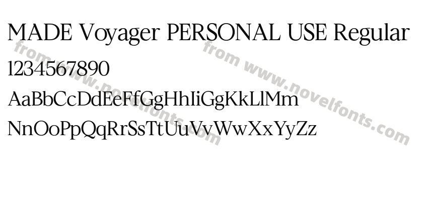 MADE Voyager PERSONAL USE RegularPreview