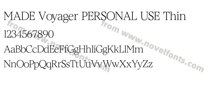 MADE Voyager PERSONAL USE ThinPreview