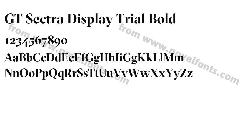 GT Sectra Display Trial BoldPreview