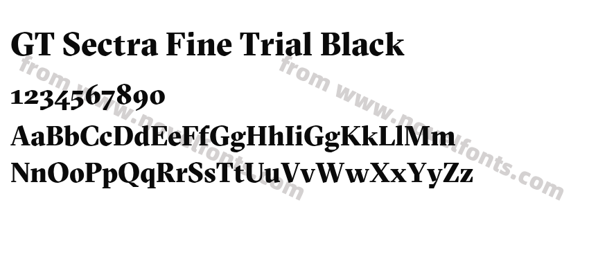 GT Sectra Fine Trial BlackPreview