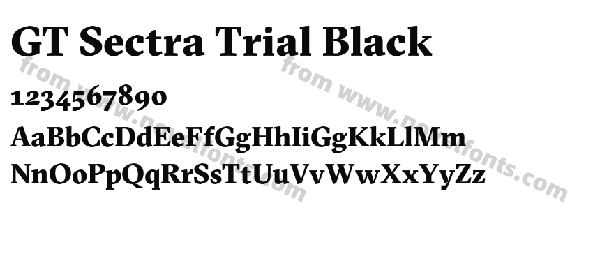 GT Sectra Trial BlackPreview