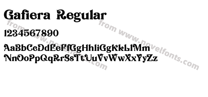 Gafiera RegularPreview