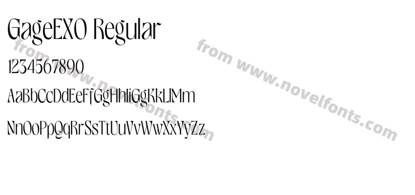 GageEXO RegularPreview