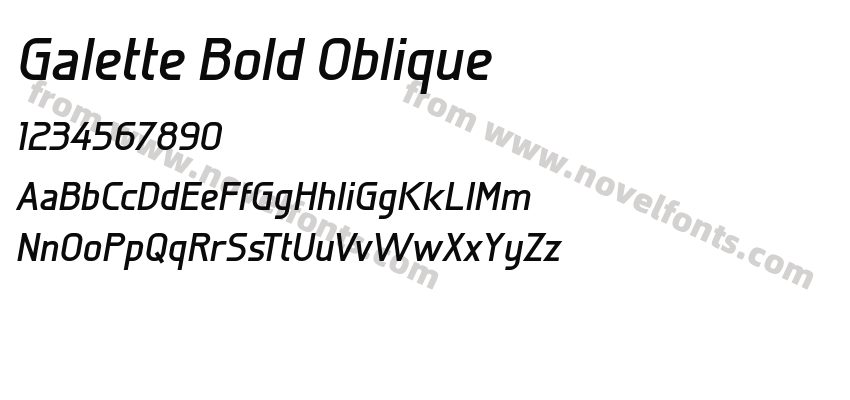 Galette Bold ObliquePreview