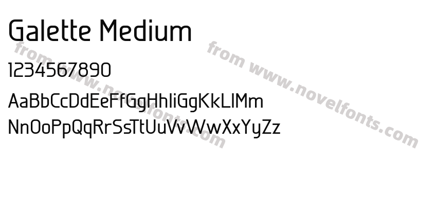 Galette MediumPreview