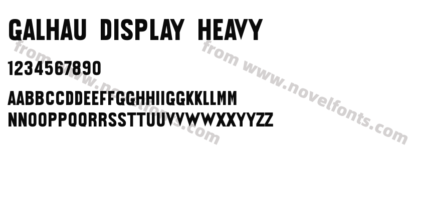 Galhau Display HeavyPreview