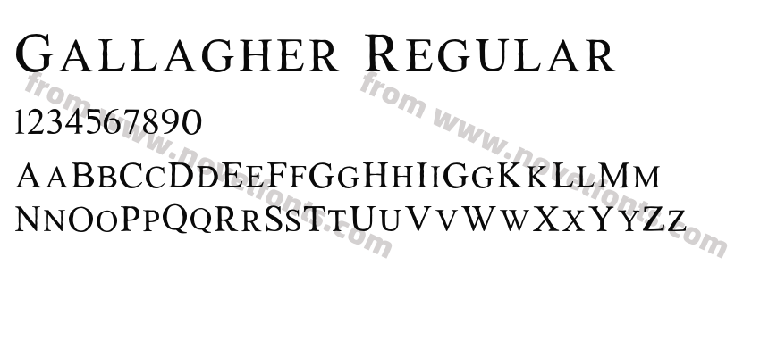 Gallagher RegularPreview