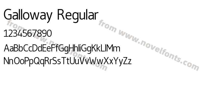 Galloway RegularPreview