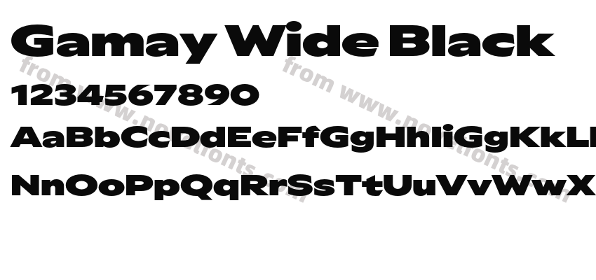 Gamay Wide BlackPreview