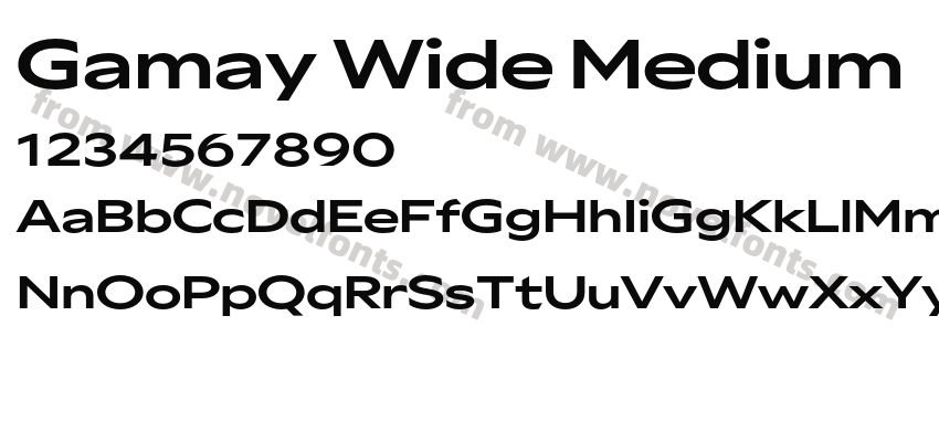 Gamay Wide MediumPreview
