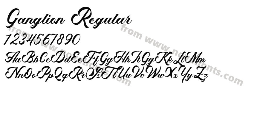 Ganglion RegularPreview