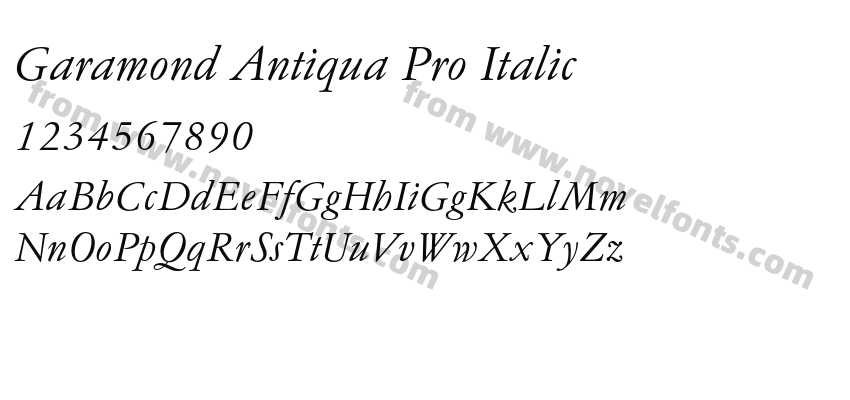 Garamond Antiqua Pro ItalicPreview