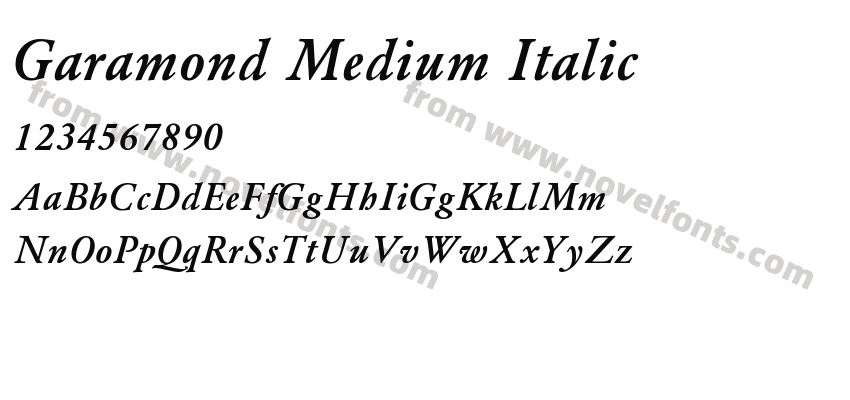 Garamond Medium ItalicPreview