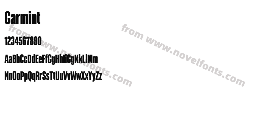 GarmintPreview