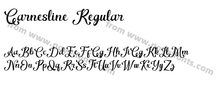 Garnesline RegularPreview
