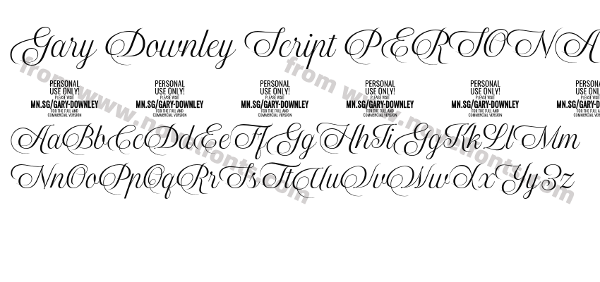 Gary Downley Script PERSONAL RegularPreview